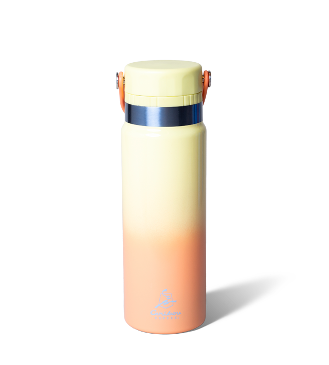 Ombre 24oz Stainless Steel Swing Tumbler – Citron