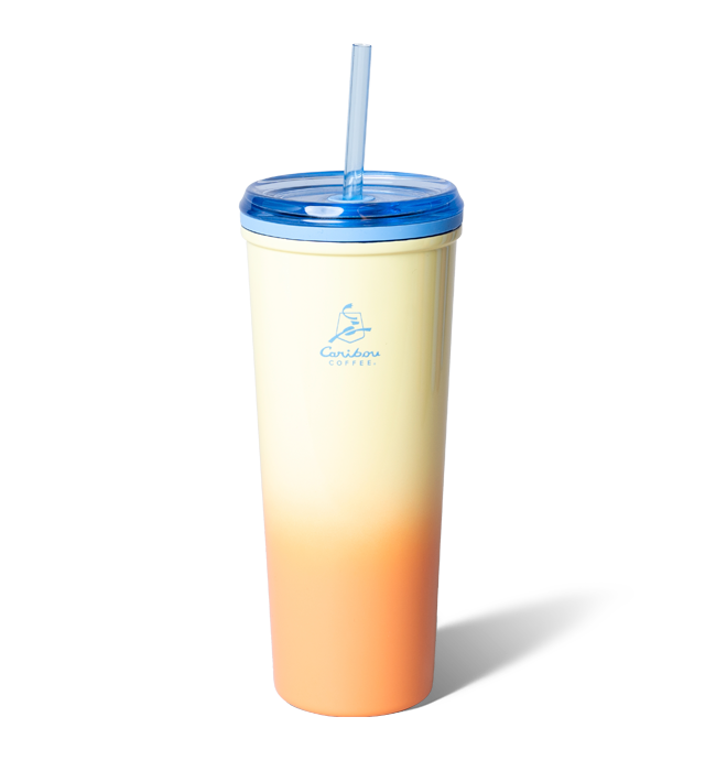 Ombre 22oz Stainless Steel Hot/Cold Tumbler – Citron