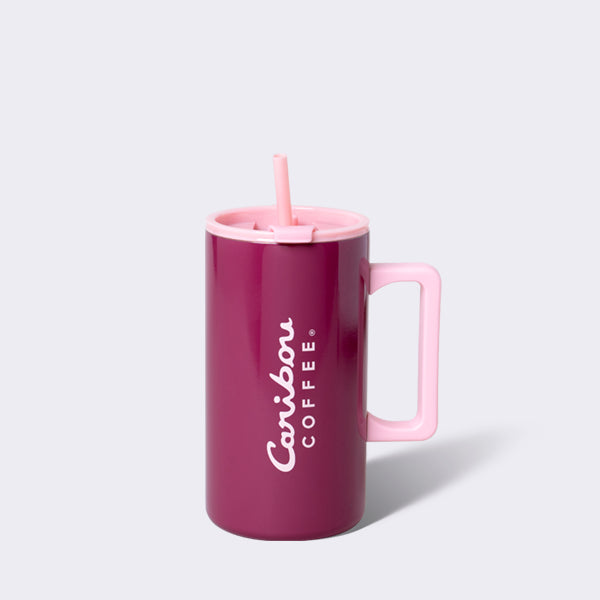 Colorblocked 18oz Stainless Steel Handled Mug with Straw – Fuchsia