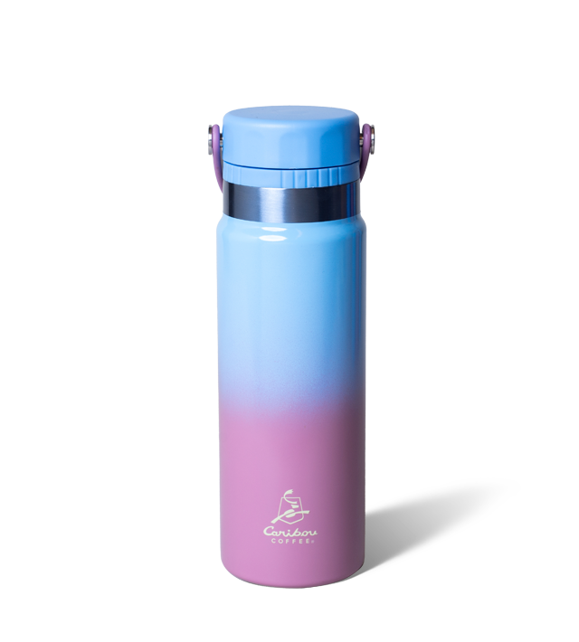 Ombre 24oz Stainless Steel Swing Tumbler – Periwinkle