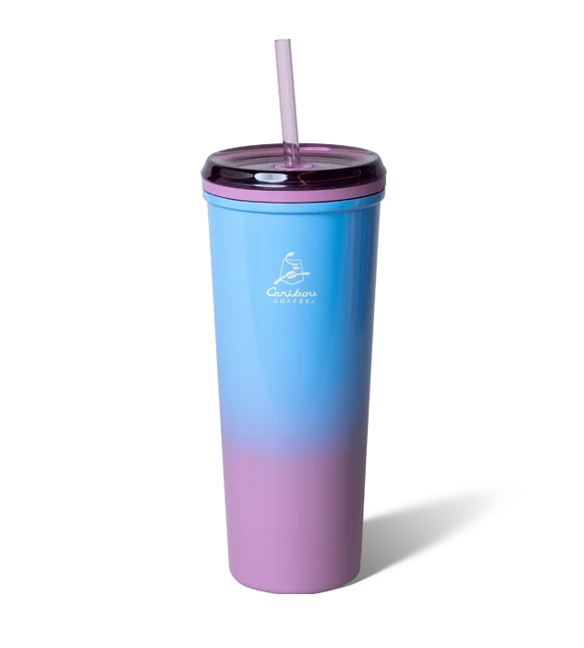 Ombre 22oz Stainless Steel Hot/Cold Tumbler – Periwinkle